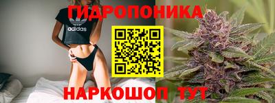 дурь Новокубанск