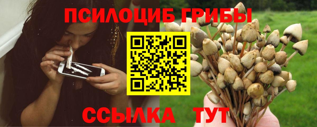 Псилоцибиновые грибы мухоморы  Вход с VPN  Тобольск  Псилоцибиновые грибы мухоморы 